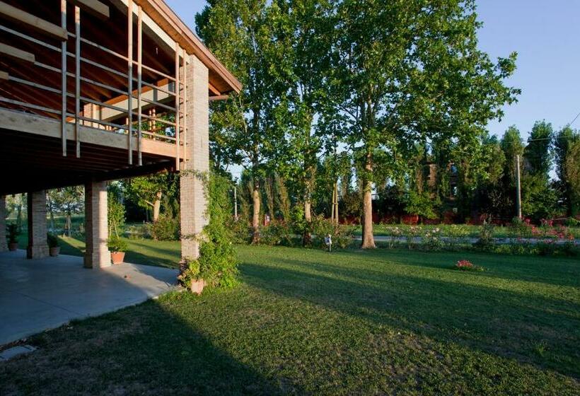 اتاق استاندارد, Ca  Adami