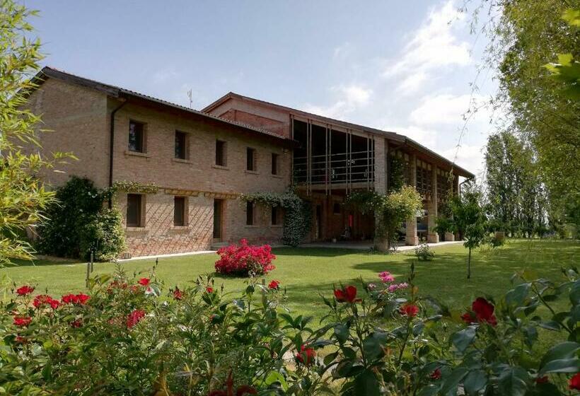 اتاق استاندارد, Ca  Adami