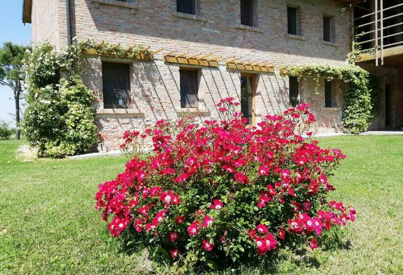 اتاق استاندارد, Ca  Adami