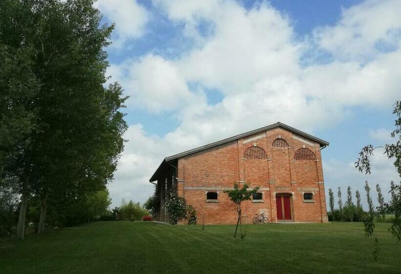 اتاق استاندارد, Ca  Adami