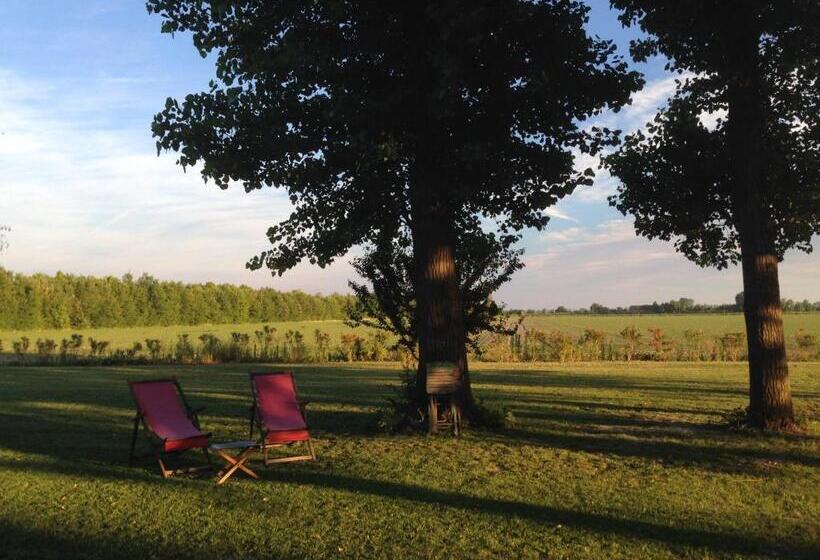 آپارتمان 1 خوابه, Ca  Adami