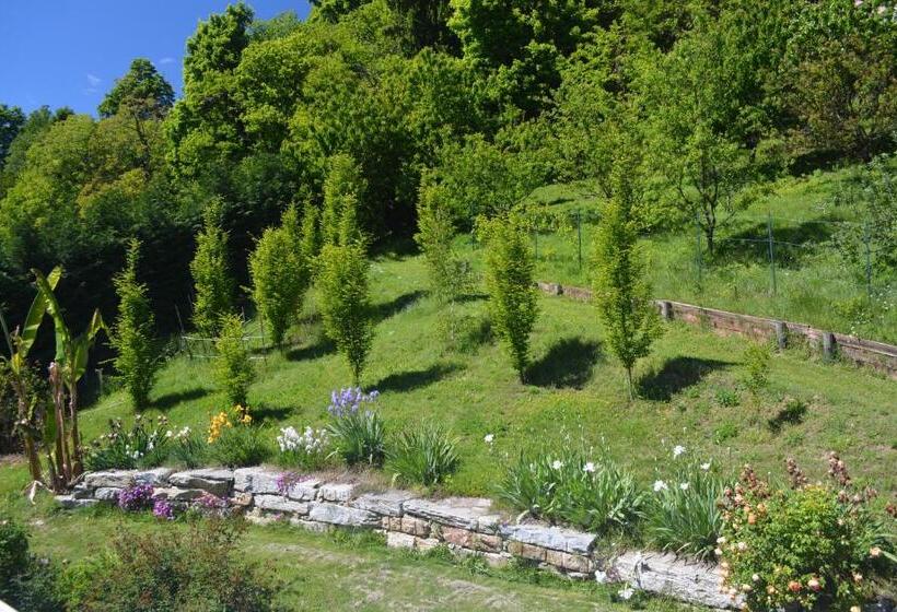 家庭工作室, B&b Vignalunga