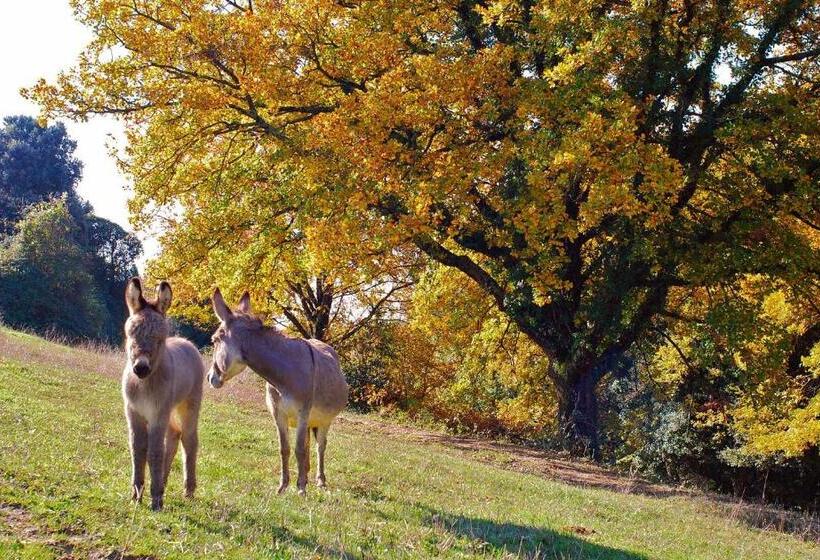 Апартаменты 1 Спальня Вид на Сад, Agriturismo Fattoria Walden