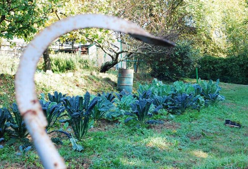 شقة ديلوكس غرفة نوم واحدة, Agriturismo Fattoria Walden