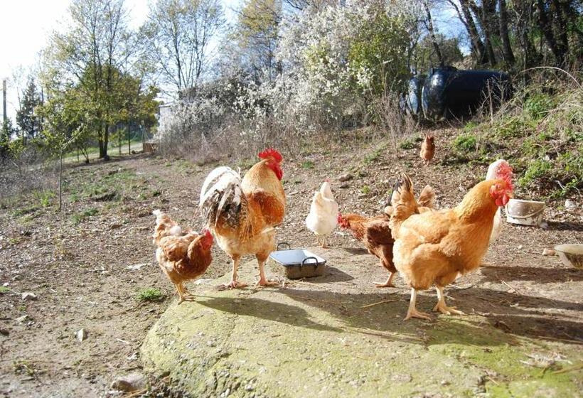 شقة ديلوكس غرفة نوم واحدة, Agriturismo Fattoria Walden