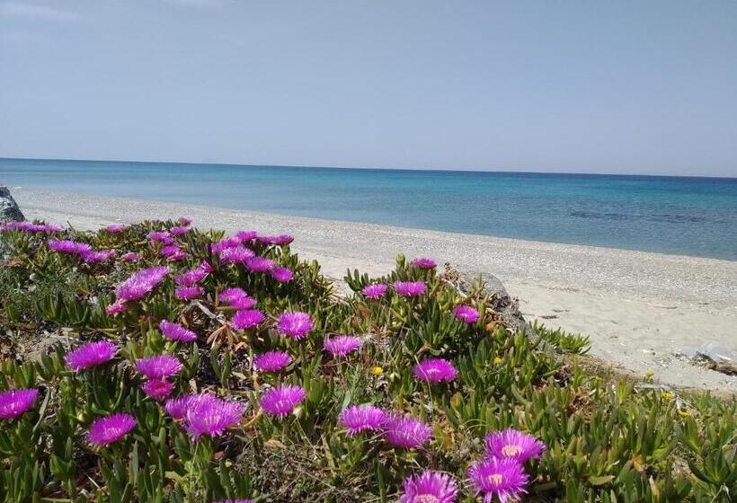 غرفة قياسية, Atelier Bed&bed