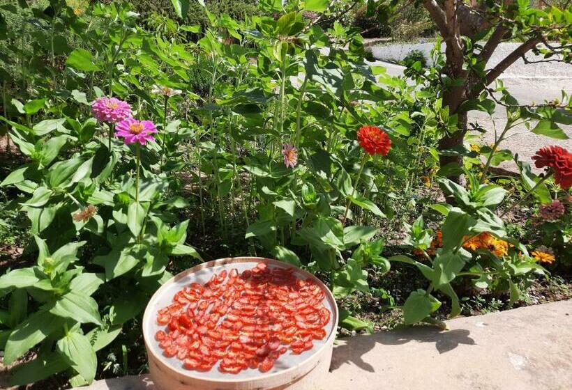 דירת חדר נוף לגינה, Mediterraneo