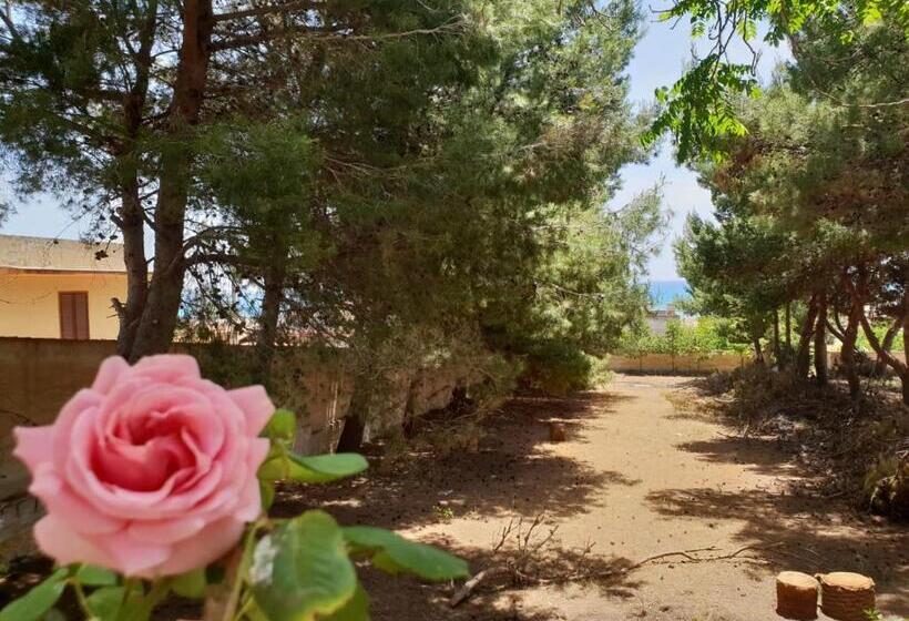 Номер Стандарт Вид на Сад, Mediterraneo