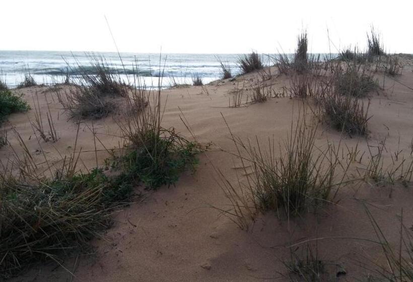 חדר סטנדרט נוף לגינה, Mediterraneo