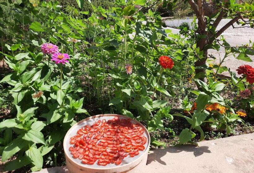 חדר סטנדרט נוף לגינה, Mediterraneo