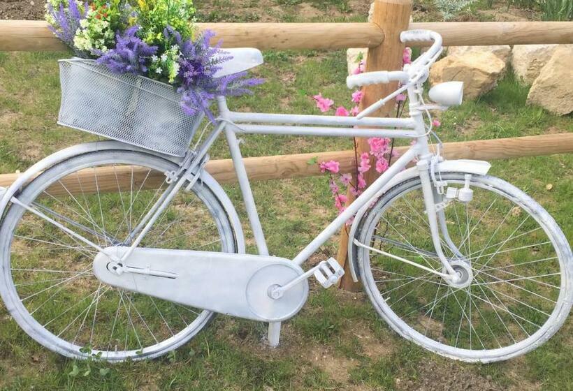 اتاق استاندارد با بالکن, B&b Casa Giorgia