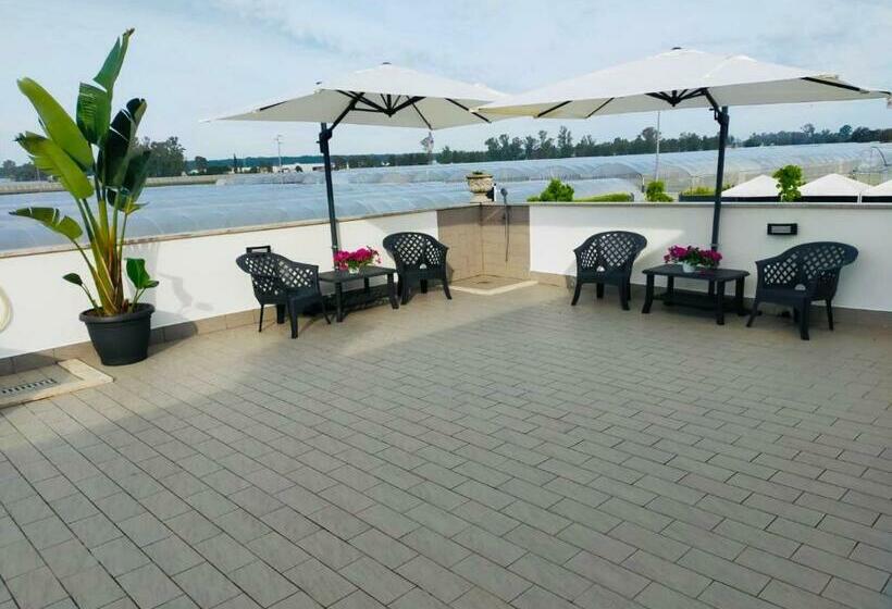 חדר סטנדרט, Gioema