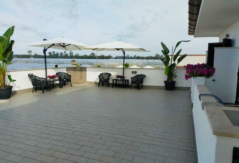 חדר סטנדרט, Gioema