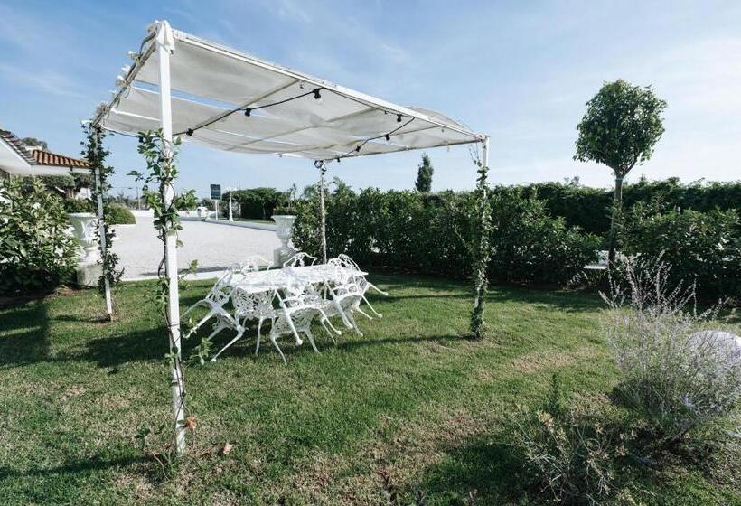 חדר דופלקס, Gioema