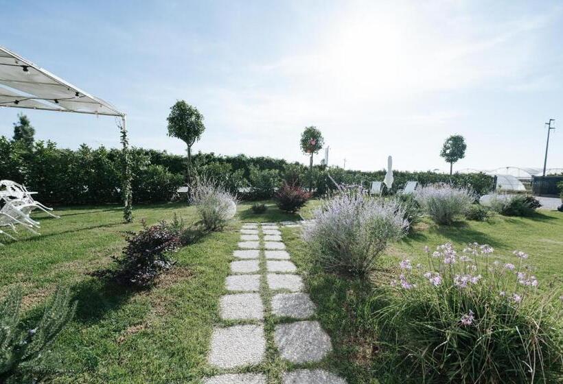 חדר דופלקס, Gioema