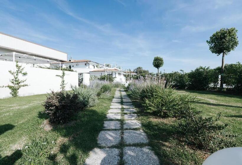 חדר דופלקס, Gioema