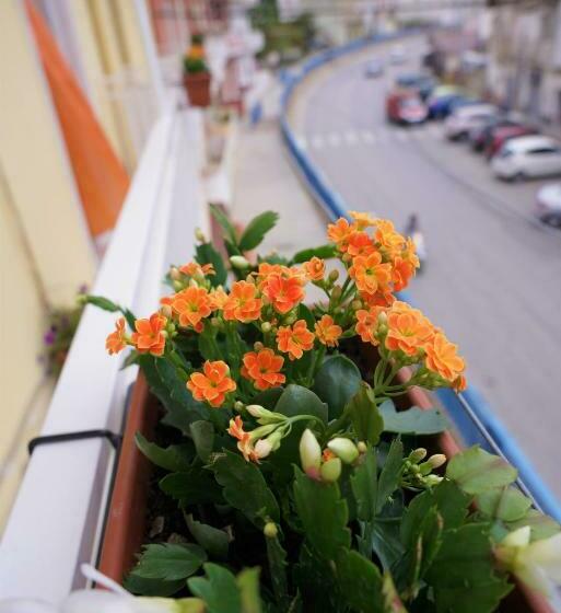 スタンダードルーム, B&b Nodo Francescano