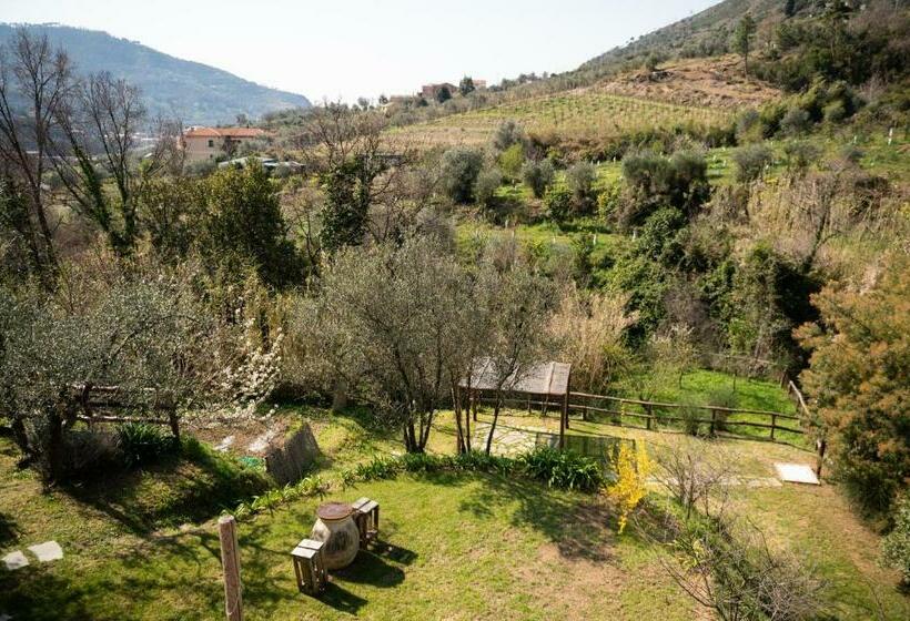 غرفة سوبيريور مطلّة علي الحديقة, Amandolevanto B&b