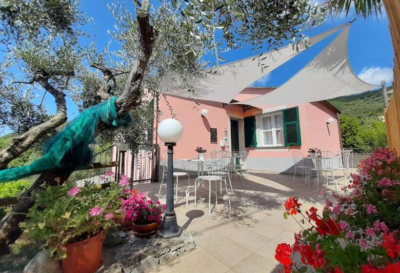 غرفة سوبيريور مطلّة علي الحديقة, Amandolevanto B&b