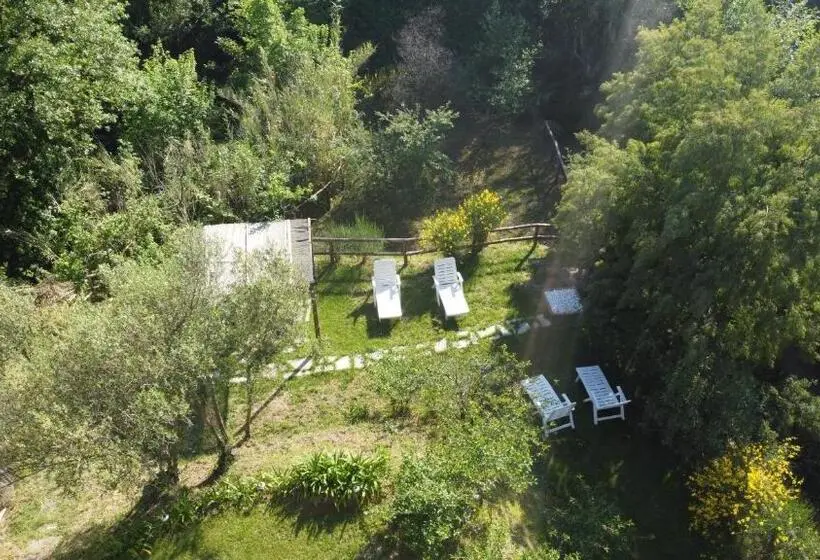 Standard-huone King-vuode, Amandolevanto B&b