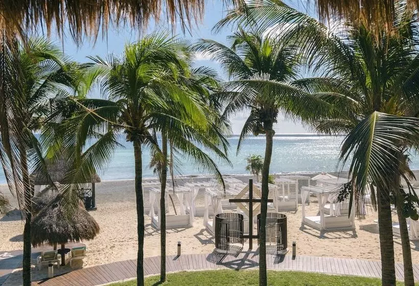 オーシャンビュージュニアスイート, Iberostar Waves Quetzal