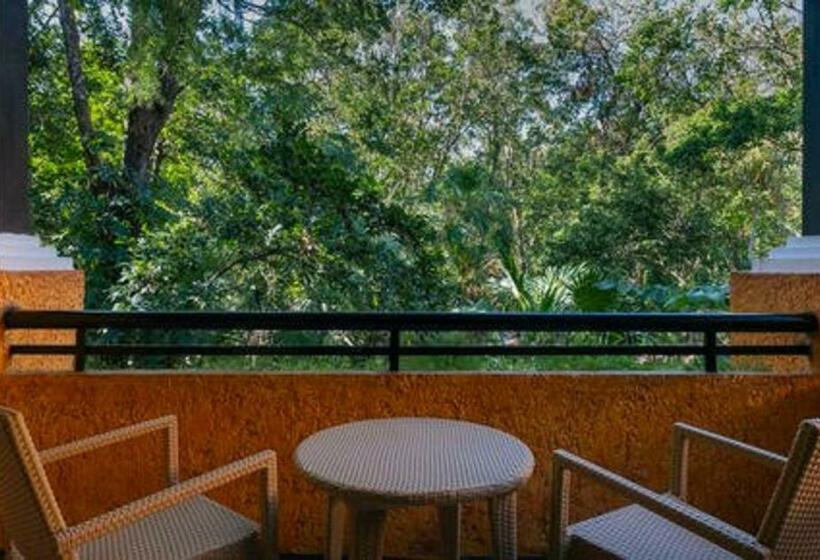 غرفة إقتصادية, Iberostar Waves Quetzal