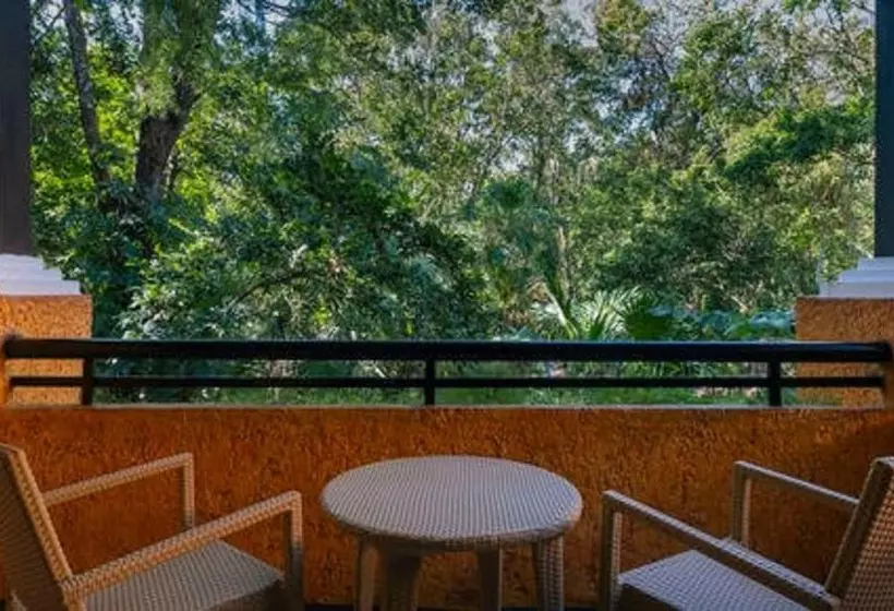 エコノミールーム, Iberostar Waves Quetzal