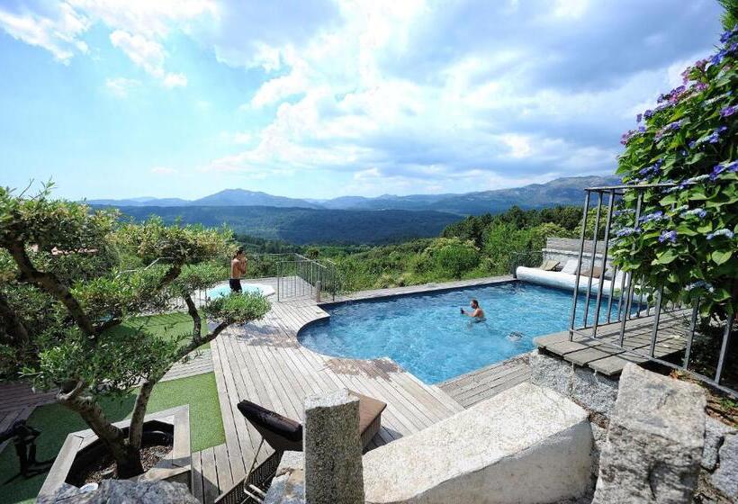 Номер Стандарт, Hotel le Tourisme