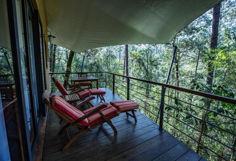 带大床的套房, Rodavento Boutique Hotel & Spa