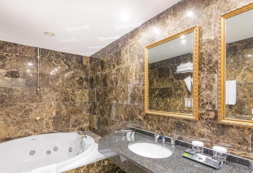 سوییت با چشمانداز کوه, Princesa Parc Excellence