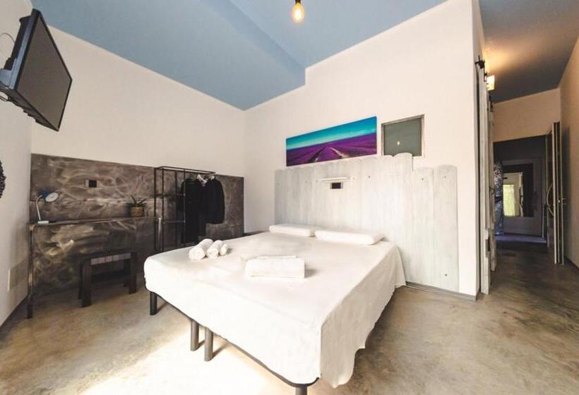 اتاق لوکس با تخت بزرگ, A Casa B&b