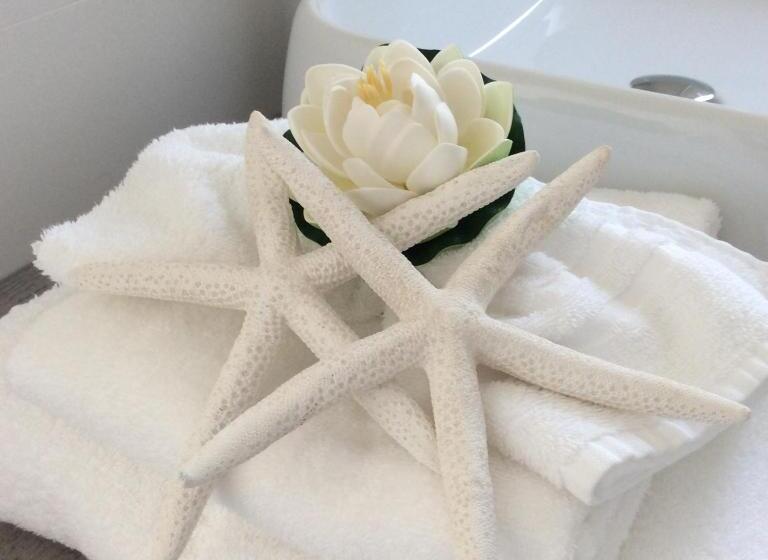 标准间带阳台, Laris