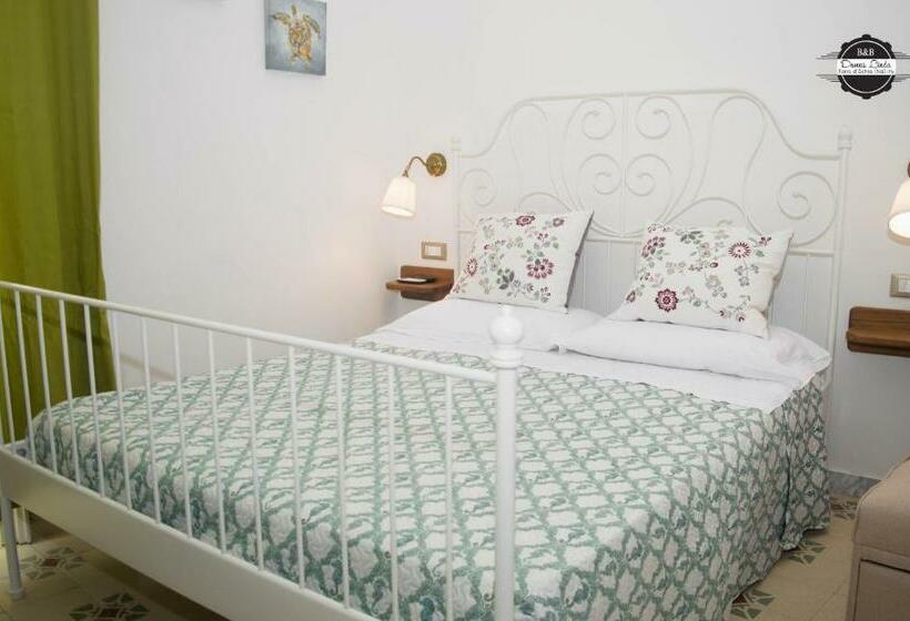 스탠다드 트리플 룸, Domus Linda B&b