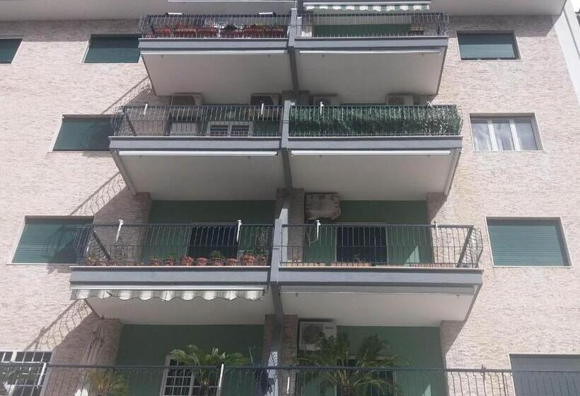 اتاق عادی, Nitto House