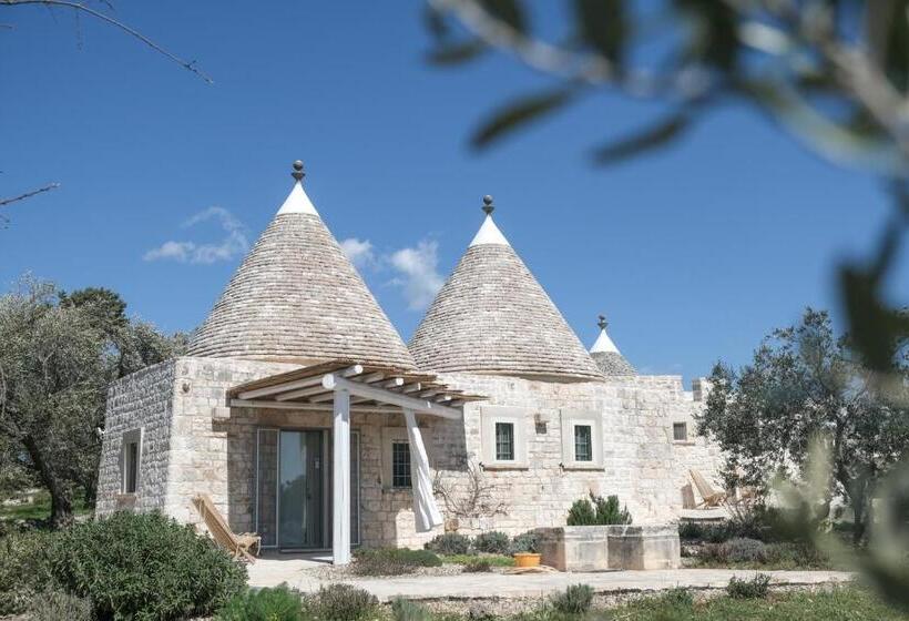 اتاق لوکس, Regina Di Ulivi