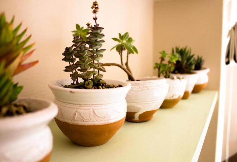 اتاق استاندارد با تخت بزرگ, Regina Di Ulivi