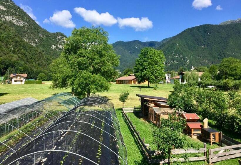 غرفة ديلوكس مزودة بشرفة, B&b Dalla Fattoria Della Patty