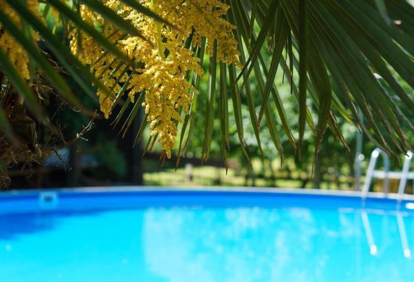 חדר סופריור, Pension Sunnhofer