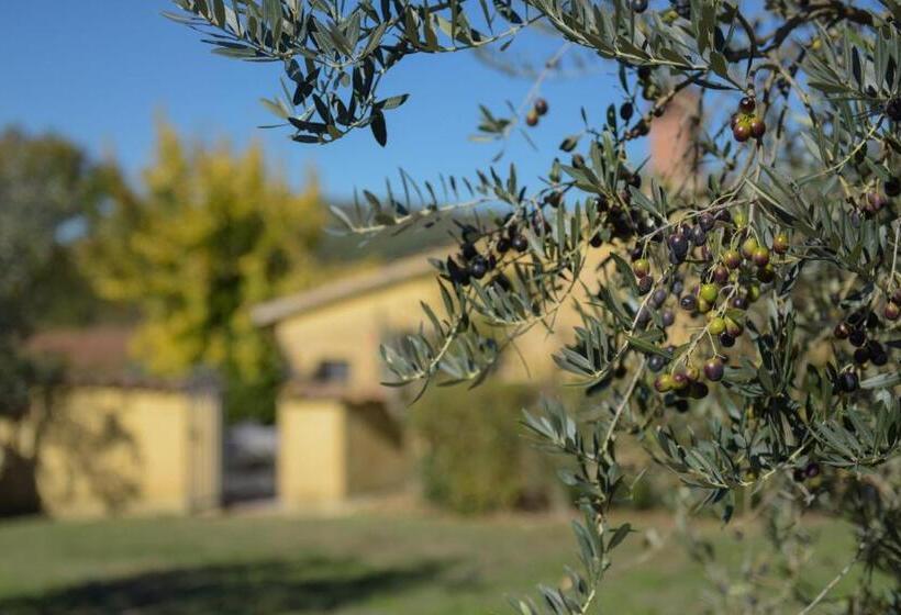 带1个卧室的公寓, La Fortezza Alta