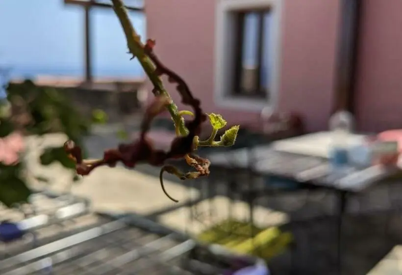 اتاق استاندارد با چشم‌انداز دریا, Horizon Pantelleria