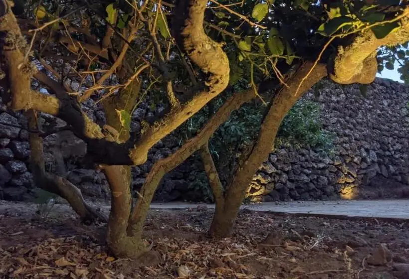 اتاق کلاسیک چهارنفره, Horizon Pantelleria
