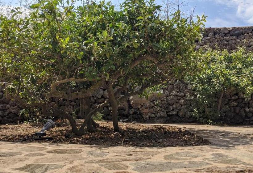 Номер Стандарт, Horizon Pantelleria