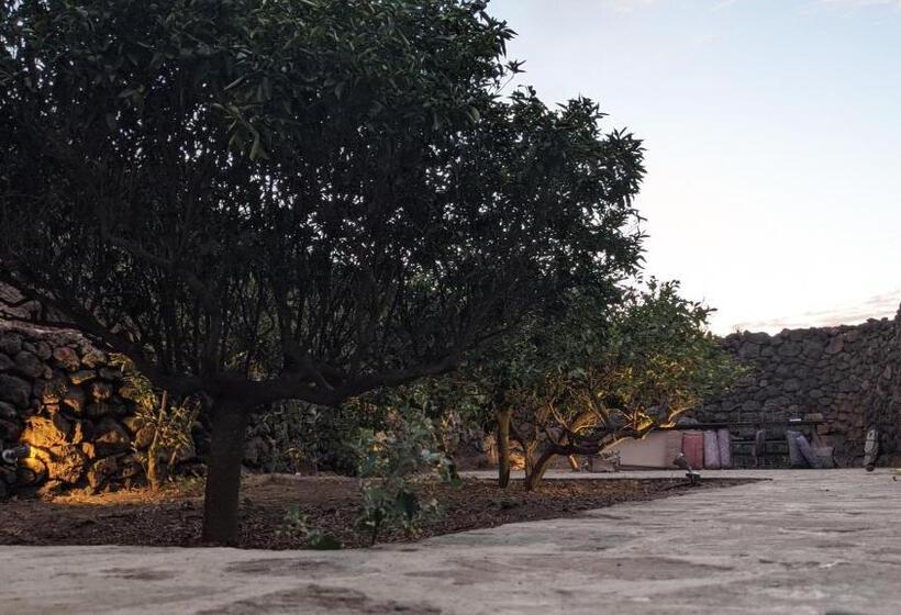 Номер Стандарт, Horizon Pantelleria