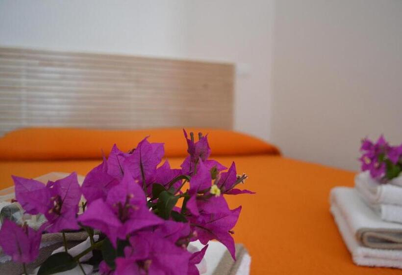 Номер Стандарт, Horizon Pantelleria