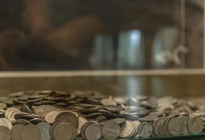 اتاق سوپریور یک تخته, Cineapollo  Ogni Camera Un Film!