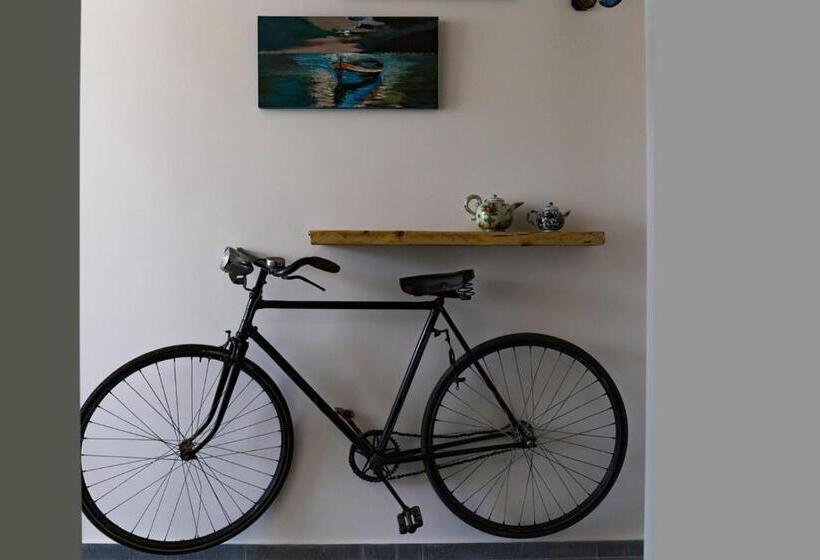 غرفة سوبيريور, Cineapollo  Ogni Camera Un Film!