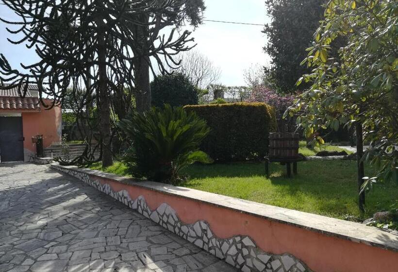 Pokój Czteroosobowy Standard, Il Sottosopra