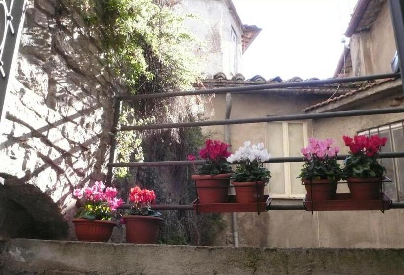 آپارتمان سوپریور 1 خوابه, Le Camere Di Casa Cassandra