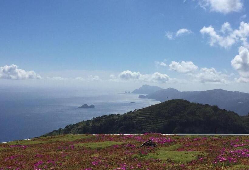 اتاق استاندارد, Villa Paradise Resort