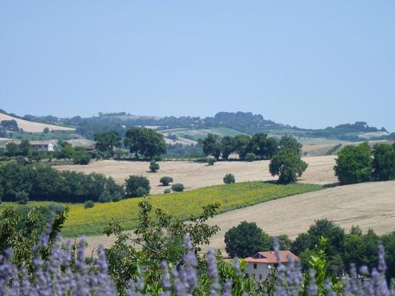 Номер Superior Кровать Кинг, Country House Il Sassòne